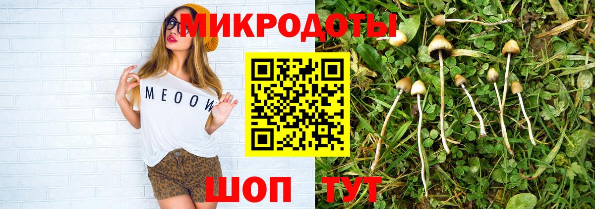 Псилоцибиновые грибы прущие грибы Люберцы